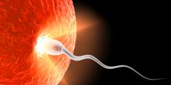Male infertility Treament in Israel